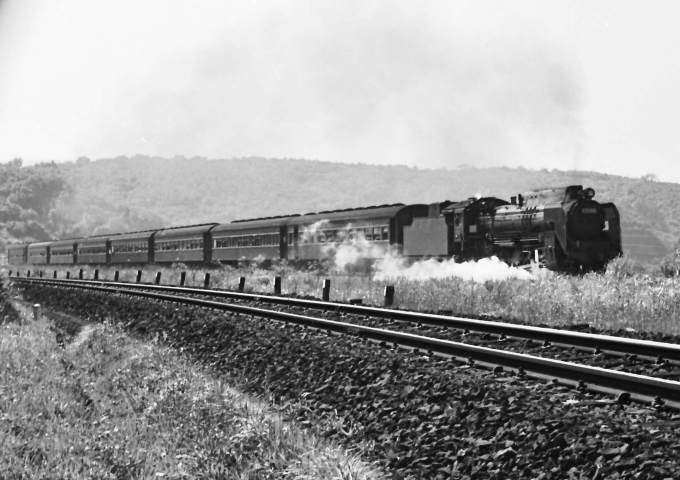 国鉄D51形蒸気機関車 Ｄ51 100 鉄道フォト・写真 by 鉄道のお爺さんさん ：1964年07月04日00時ごろ