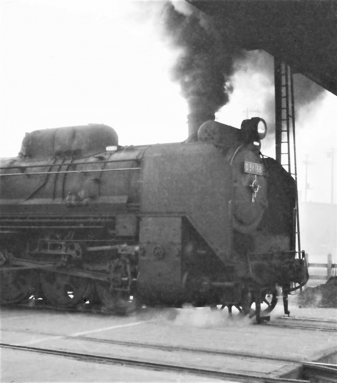 国鉄D51形蒸気機関車 Ｄ51 188 鉄道フォト・写真 by 鉄道のお爺さんさん ：1964年05月25日00時ごろ