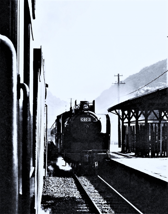 国鉄C60形蒸気機関車 Ｃ60 2 鉄道フォト・写真 by 鉄道のお爺さんさん ：1964年07月04日00時ごろ