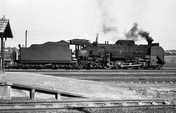 国鉄D51形蒸気機関車 Ｄ51 451 鉄道フォト・写真 by 鉄道のお爺さんさん ：1961年03月13日00時ごろ