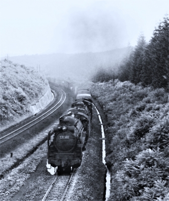 国鉄D51形蒸気機関車 Ｄ51 463 鉄道フォト・写真 by 鉄道のお爺さんさん ：1964年07月04日00時ごろ