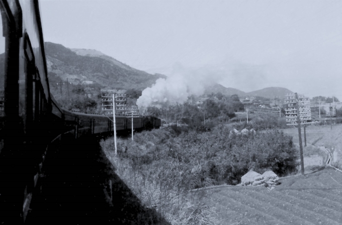 国鉄9600形蒸気機関車 鉄道フォト・写真 by 鉄道のお爺さんさん ：1964年02月29日00時ごろ