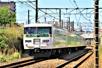 JR東日本 クハ185形 クハ185-210 鉄道フォト・写真 by 鉄道のお爺さんさん ：2016年05月05日09時ごろ