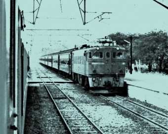 国鉄ED75形電気機関車 ED75 116 鉄道フォト・写真 by 鉄道のお爺さんさん ：1965年05月27日00時ごろ