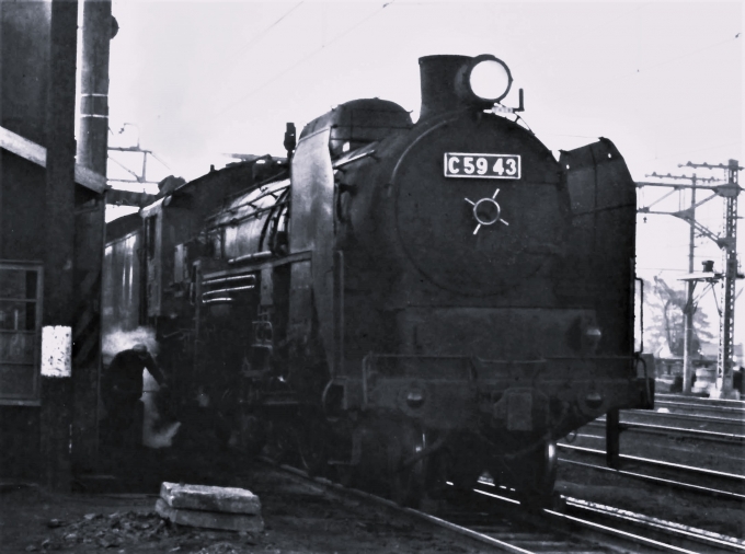 国鉄C59形蒸気機関車 Ｃ59 43 鉄道フォト・写真 by 鉄道のお爺さんさん ：1964年02月27日00時ごろ