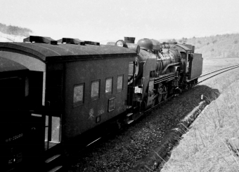 国鉄D51形蒸気機関車 鉄道フォト・写真 by 鉄道のお爺さんさん ：1963年03月31日00時ごろ