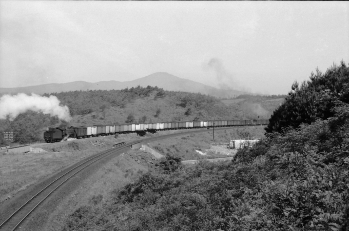 国鉄D51形蒸気機関車 鉄道フォト・写真 by 鉄道のお爺さんさん ：1964年07月04日00時ごろ