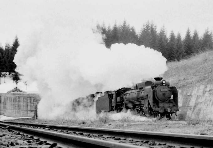 国鉄D51形蒸気機関車と国鉄Ｃ61形蒸気機関車 Ｄ51 844 と Ｃ61 17 鉄道フォト・写真 by 鉄道のお爺さんさん ：1963年03月31日00時ごろ