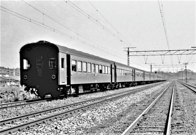 国鉄ナハ10型客車 鉄道フォト・写真 by 鉄道のお爺さんさん ：1961年04月30日00時ごろ