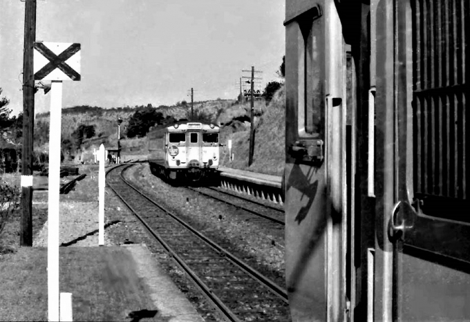 鉄道フォト・写真：国鉄キハ58系気動車 青井岳駅 鉄道フォト・写真 by 鉄道のお爺さんさん - 撮影日 1964/03/01 00:00