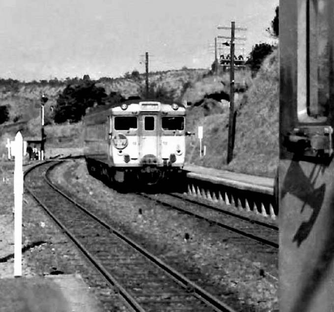 鉄道フォト・写真：国鉄キハ58系気動車 青井岳駅 鉄道フォト・写真 by 鉄道のお爺さんさん - 撮影日 1964/03/01 00:00