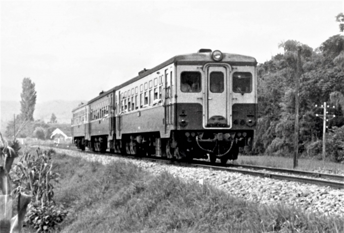 鉄道フォト・写真：国鉄キハ10系気動車 キハ17 63 群馬原町付近 鉄道フォト・写真 by 鉄道のお爺さんさん - 撮影日 1960/08/13 00:00