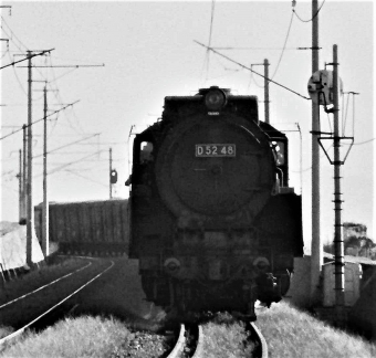 国鉄D52形蒸気機関車 D52 48 鉄道フォト・写真 by 鉄道のお爺さんさん 由宇駅：1964年08月27日00時ごろ