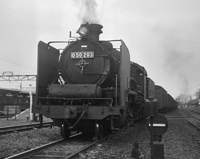 国鉄D50形蒸気機関車 D50 203 鉄道フォト・写真 by 鉄道のお爺さんさん ：1959年11月01日00時ごろ