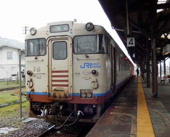 JR西日本 キハ40形 快速「ことぶき」 キハ40 2036 鉄道フォト・写真 by 鉄道のお爺さんさん ：2017年04月11日13時ごろ