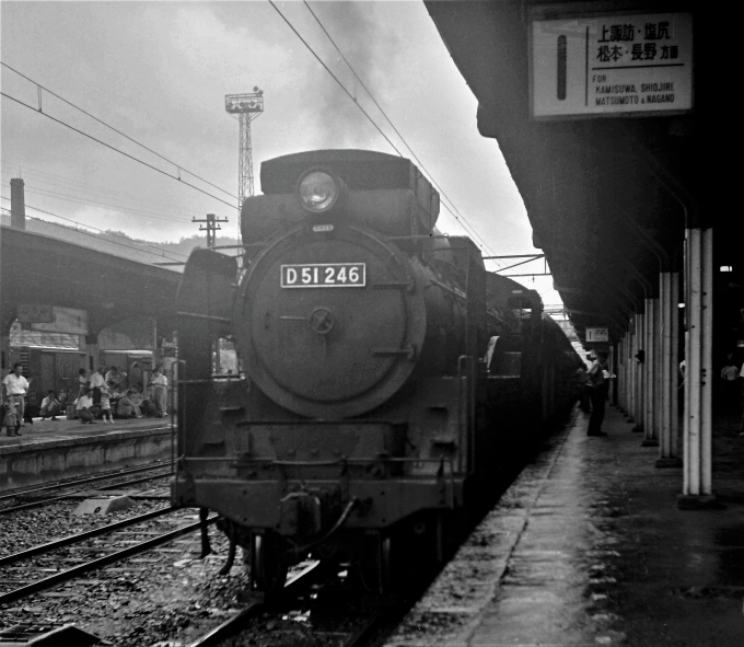 国鉄D51形蒸気機関車 D51 246 鉄道フォト・写真 by 鉄道のお爺さんさん ：1960年08月11日00時ごろ