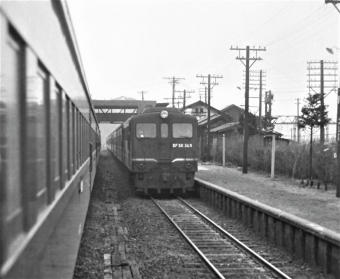 国鉄DF50形ディーゼル機関車 DF50 508 鉄道フォト・写真 by 鉄道のお爺さんさん ：1963年03月29日00時ごろ
