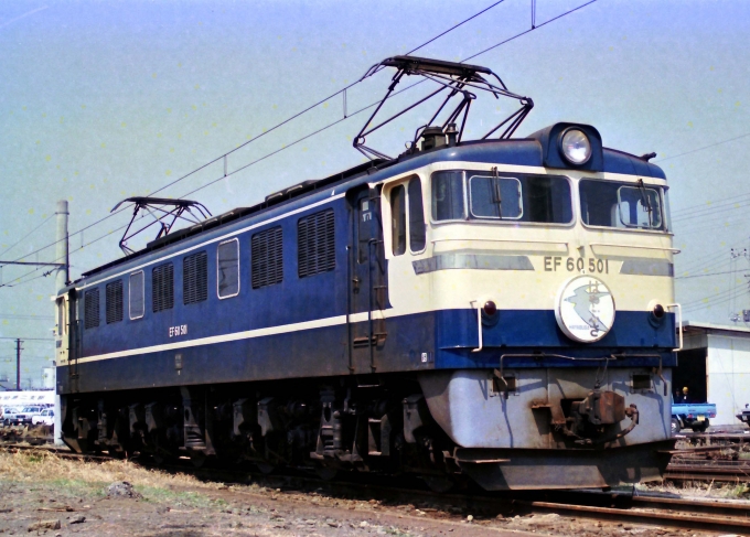 国鉄EF60形電気機関車 EF60 501 鉄道フォト・写真 by 鉄道のお爺さんさん ：1985年03月24日00時ごろ