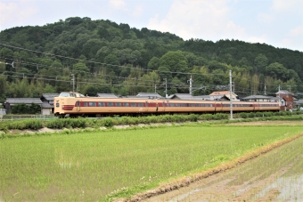 JR西日本 クハ381形 特急「きのさき」 クハ381-1119 鉄道フォト・写真 by 鉄道のお爺さんさん ：2014年06月15日11時ごろ