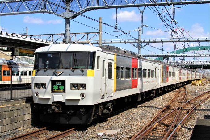 JR東日本 国鉄185系電車 特急「草津号」 大宮駅 鉄道フォト・写真 by 鉄道のお爺さんさん | レイルラボ(RailLab)