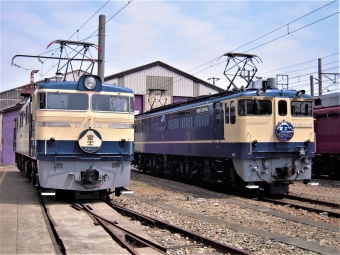JR東日本 国鉄EF60形電気機関車 国鉄EF65形電気機関車 EF60 509 と EF65 1115 鉄道フォト・写真 by 鉄道のお爺さんさん ：2013年05月25日09時ごろ