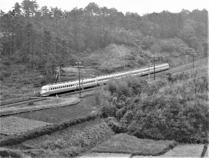 鉄道フォト・写真：小田急電鉄デハ3000形電車 特急「スーパーはこね・はこね・さがみ」 鶴川駅 鉄道フォト・写真 by 鉄道のお爺さんさん - 撮影日 1963/10/20 00:00