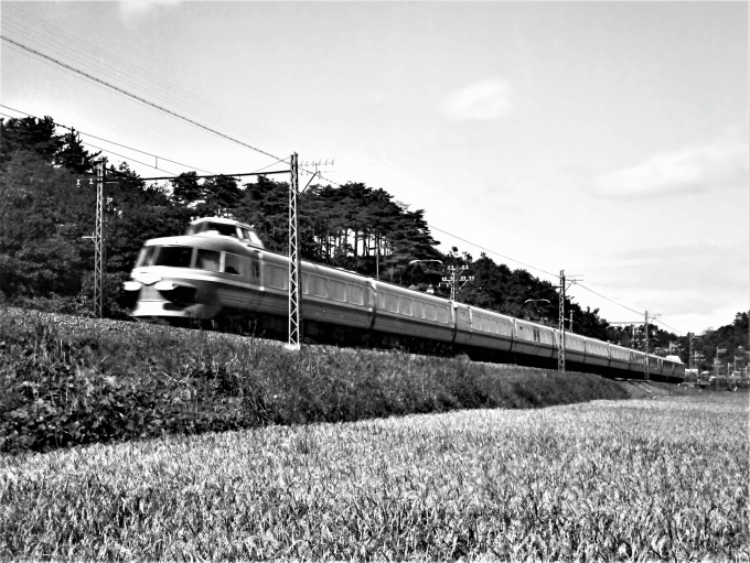 鉄道フォト・写真：小田急電鉄デハ3100形電車 特急「スーパーはこね・はこね・さがみ」 鶴川駅 鉄道フォト・写真 by 鉄道のお爺さんさん - 撮影日 1963/10/13 00:00