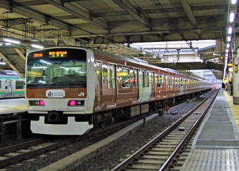 JR東日本E231系電車 クハE230形(Tc') 鉄道フォト・写真 by 鉄道のお爺さんさん ：2015年01月16日16時ごろ