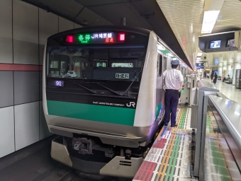 JR東日本E233系電車 鉄道フォト・写真 by Tsurugi2999さん 大和駅 (神奈川県|相鉄)：2021年09月06日14時ごろ