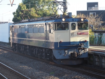 JR貨物 国鉄EF65形電気機関車 EF65 2086 鉄道フォト・写真 by Tsurugi2999さん 川崎新町駅：2021年11月25日14時ごろ