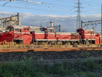 JR西日本 国鉄DE15形ディーゼル機関車 DE15 1504 鉄道フォト・写真 by Tsurugi2999さん ：2022年10月26日15時ごろ