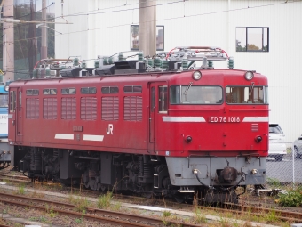 JR貨物 国鉄ED76形電気機関車 ED76 1018 鉄道フォト・写真 by Tsurugi2999さん 鹿児島駅：2022年11月18日08時ごろ