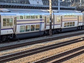 JR東日本E217 系電車 サロE216形(TSD') 鉄道フォト・写真 by Tsurugi2999さん 神奈川駅：2023年02月15日15時ごろ