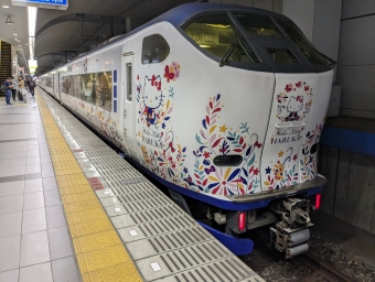 JR西日本281系電車 はるか(特急) 鉄道フォト・写真 by Tsurugi2999さん 関西空港駅 (JR)：2023年04月13日10時ごろ