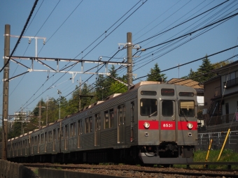 東急電鉄 東急8500系電車 8531 鉄道フォト・写真 by Tsurugi2999さん ：2021年04月10日14時ごろ