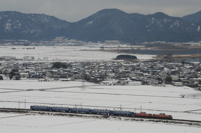 JR西日本 国鉄DD51形ディーゼル機関車 米原訓練 鉄道フォト・写真 by とりかまさん 安土駅：2023年01月31日12時ごろ