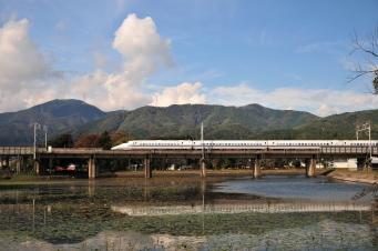 JR東海 鉄道フォト・写真 by kimi-niさん 米原駅 (JR)：2011年11月12日13時ごろ