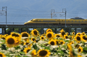 JR東海 鉄道フォト・写真 by kimi-niさん 岐阜羽島駅：2012年08月26日13時ごろ