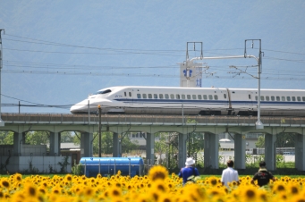 JR東海 鉄道フォト・写真 by kimi-niさん 岐阜羽島駅：2012年08月26日12時ごろ
