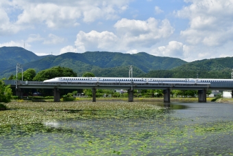 JR東海 鉄道フォト・写真 by kimi-niさん 米原駅 (JR)：2022年05月28日13時ごろ