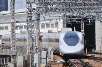 JR西日本 700系新幹線電車 鉄道フォト・写真 by kimi-niさん 新大阪駅 (JR)：2019年05月03日10時ごろ