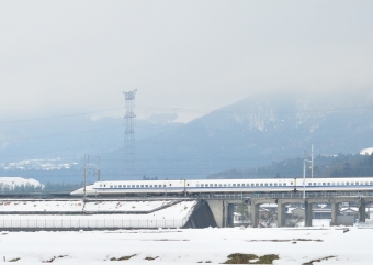 JR東海 鉄道フォト・写真 by kimi-niさん 米原駅 (JR)：2010年01月17日11時ごろ