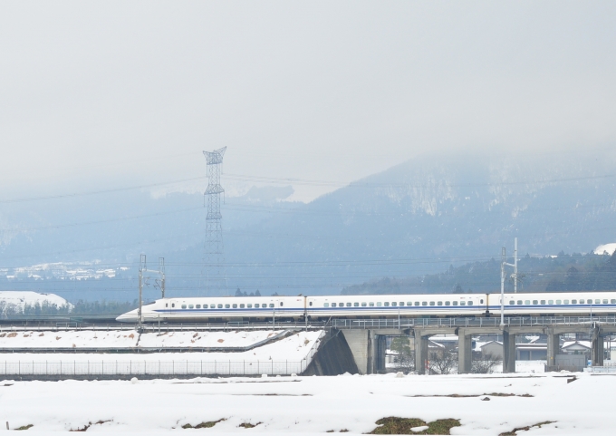 鉄道フォト・写真：JR東海  米原駅 (JR) 鉄道フォト・写真 by kimi-niさん - 撮影日 2010/01/17 11:44