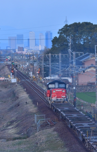 JR貨物 国鉄DD51形ディーゼル機関車 鉄道フォト・写真 by kimi-niさん 弥富駅 (JR)：2021年02月27日17時ごろ