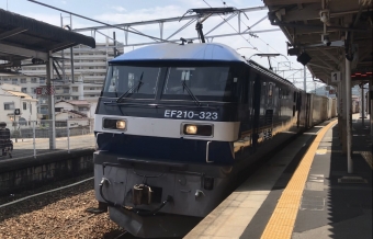 JR貨物 EF210形 EF210-323 鉄道フォト・写真 by 山陽5632F/utさん 曽根駅 (兵庫県)：2021年07月13日13時ごろ