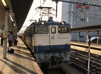 JR西日本 国鉄EF65形電気機関車 EF65-1135 鉄道フォト・写真 by 山陽5632F/utさん 姫路駅：2021年10月05日16時ごろ