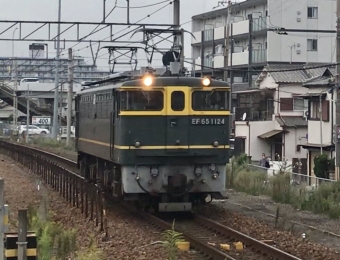 JR西日本 国鉄EF65形電気機関車 EF65 鉄道フォト・写真 by 山陽5632F/utさん 東加古川駅：2021年09月28日16時ごろ