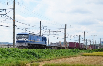 JR貨物 EF210形 EF210-334 鉄道フォト・写真 by シーホース21さん 安土駅：2021年09月25日11時ごろ