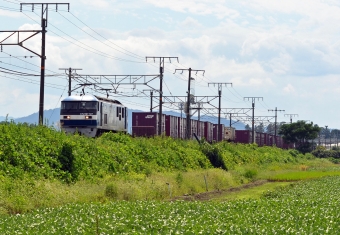 JR貨物 EF210形 EF210-127 鉄道フォト・写真 by シーホース21さん 安土駅：2021年09月25日13時ごろ