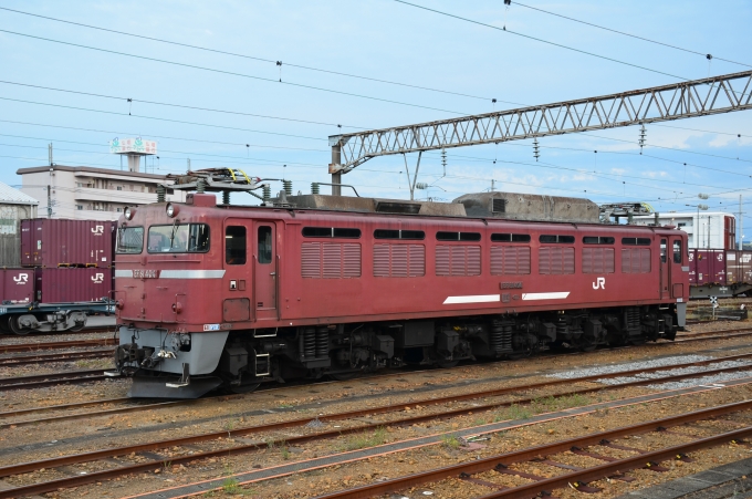 JR九州 国鉄EF81形電気機関車 EF81-404 鉄道フォト・写真 by シーホース21さん 延岡駅 (JR)：2021年10月19日17時ごろ